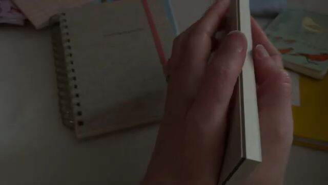 videoplayback (2)