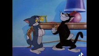 Tom and Jerry chế.