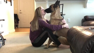 A challenge: Hold your dog for a long time and see what they will do