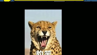 【轻剧场】《片场日记》影视剧注水的100种方法