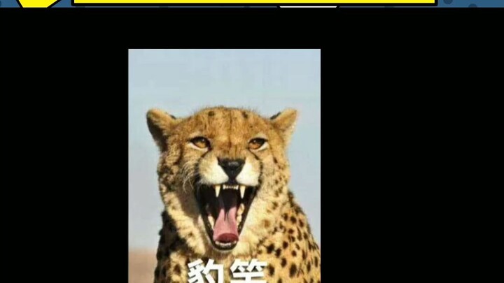 【轻剧场】《片场日记》影视剧注水的100种方法