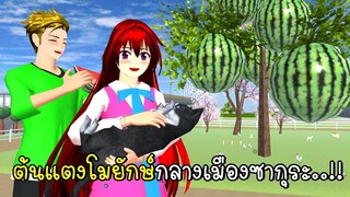 ต้นแตงโมยักษ์กลางเมืองซากุระ 🍉 Giant Watermelon in SAKURA School Simulator