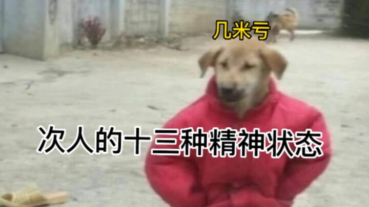 〔SEVENTEEN〕การทำอาหารที่ทำให้แฟนๆ รู้สึกมหัศจรรย์อยู่เสมอ