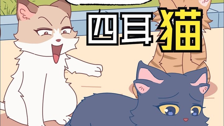 I’m a four-eared cat that no one likes… Yeah, right!