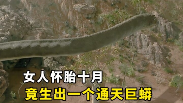 After carrying a child for ten months, a woman unexpectedly gave birth to a colossal serpent that re