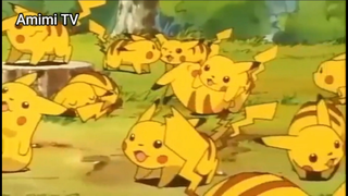 Pokemon Tổng Hợp (Ep 39.1) Khu rừng của Pikachu #PokemonTongHop_tap39