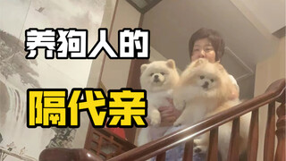 Sự việc hết sức lố bịch về "Mẹ tôi dắt chó"! Hahaha hahaha