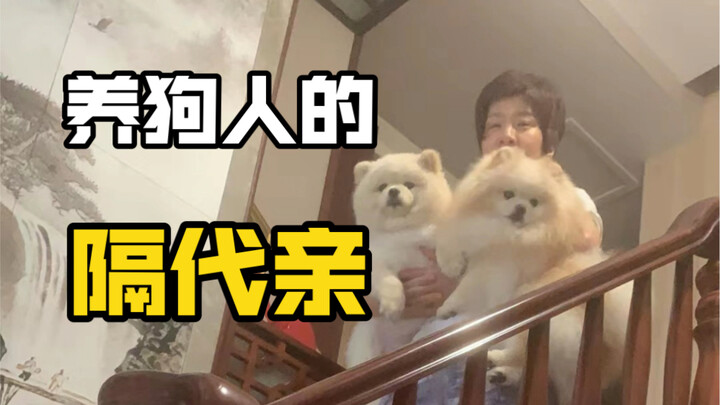 The Totally Outrageous Incident About "My Mom and the Dog"! Hahahahahaha