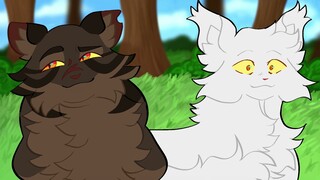 well tigerclaw how old are you i'm getting nervous