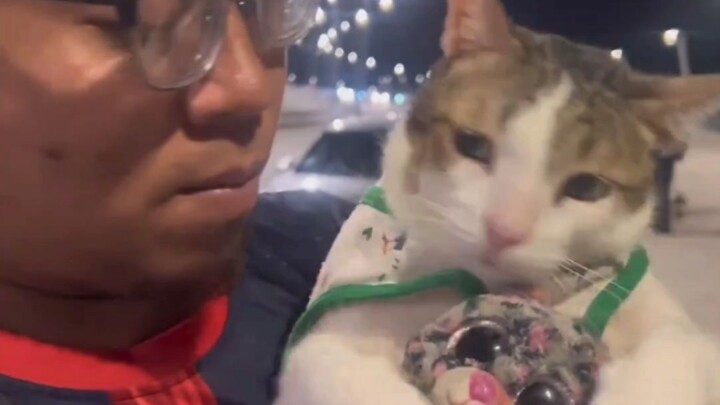 [Good Cat TV] Finally, we’re seeing a normal Hakimi again
