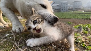 Sial, perahunya terbalik tiga kali di tempat yang sama!