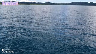 TAWANAN ANG PROBLEMA 😅