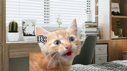 Khi mẹ gọi bạn từ dưới nhà