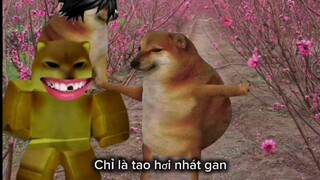Huỳnh đệ tương tàn | cheems edit