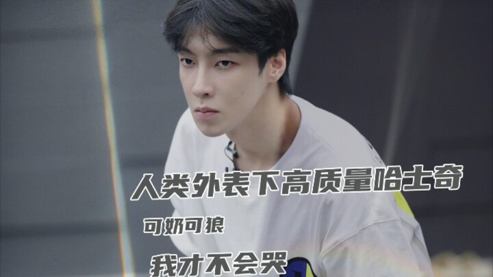 Unbelievable—this ridiculously goofy Siberian Husky actually nails the role of a dapper scoundrel so