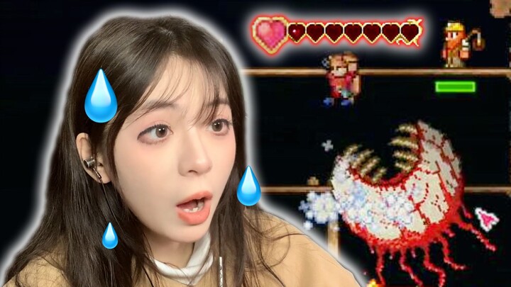 Ke Yan: A Little Terraria Shock for Newbies [Terraria 2]