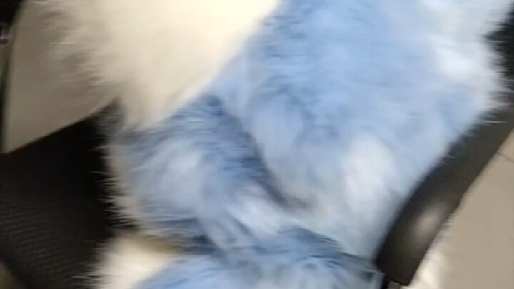 A broken B-class kitten isn't worth much.