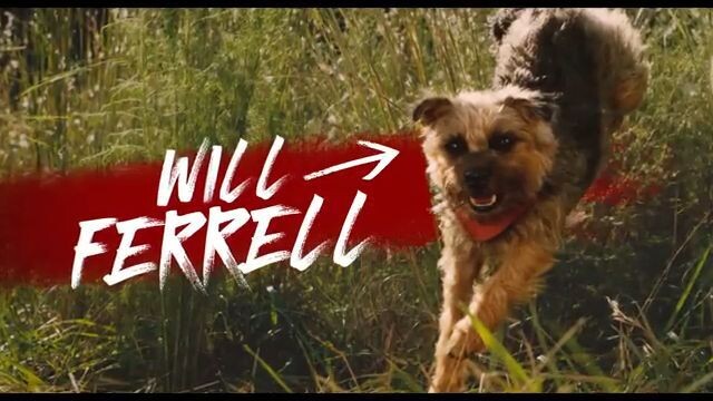 Strays _ 2023 Watch full movie : Link in Description