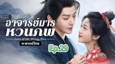 Episode 29