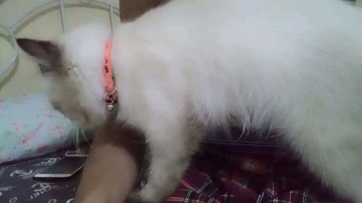 mage build Ang nana ko regen nya ako galing trabaho