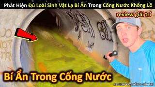 Phát Hiện Sinh Vật Lạ Bí Ẩn Cực Hiếm Trong Cống Nước Thải Khổng Lồ || Review Giải Trí Đời Sống