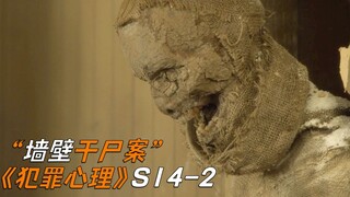 小夫妻买廉价房子，发现墙壁里全是干尸，《犯罪心理》