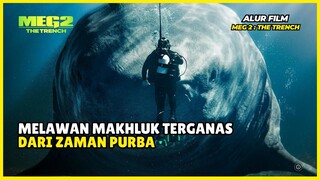 MELAWAN MEGALODON TERGANAS DARI ZAMAN PURBA | ALUR CERITA FILM MEG 2 THE TRENCH