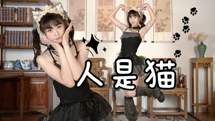 【Gwabi】Manusia adalah kucing! ฅ^˙Ⱉ˙^ฅ