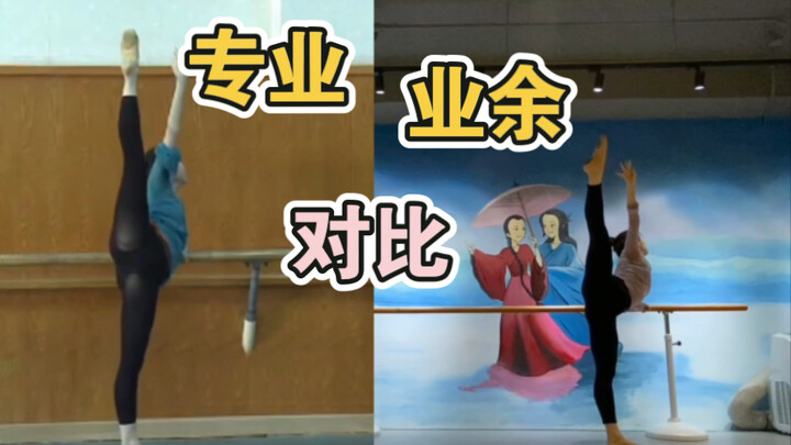 【把上控制组合】专业业余对比