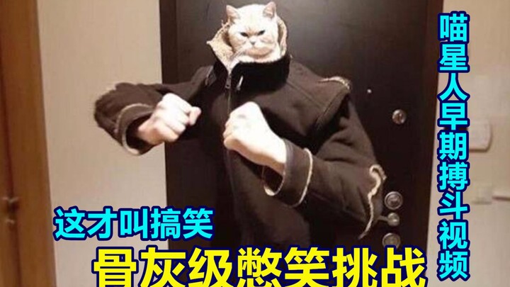 Ultimate Laugh-Keeping Challenge! You’ll Start Questioning Life Itself #42