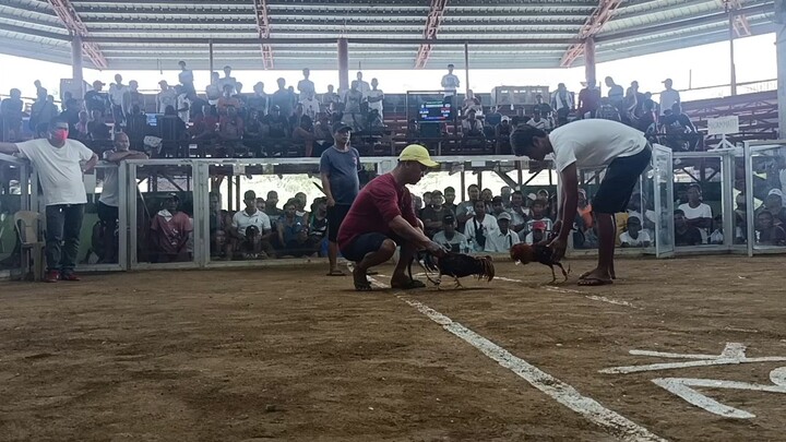 1st fight WIN entry name #Scotie&DonDon 80k parada kalaban