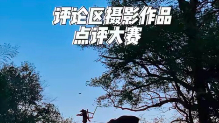 การประกวดถ่ายภาพในคอมเมนต์มาแล้ว! ภาพของคุณจะโดนวิจารณ์แรงหรือถูกยกย่องให้เป็นตำนาน? แค่กดชัตเตอร์ธร