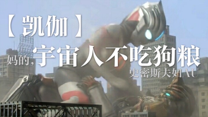 【凯伽】宇宙人不吃狗粮（史密斯夫妇AU）