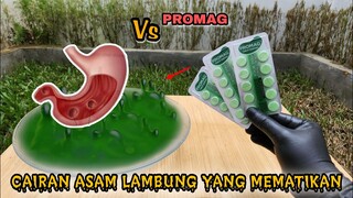 EKSPERIMEN: CAIRAN ASAM LAMBUNG vs PROMAG