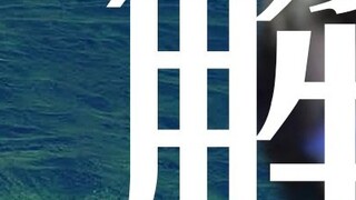 【Pingzijun152】Khi bạn bối rối ở tuổi mới lớn, hãy nghe những gì Niu Niu nói😜