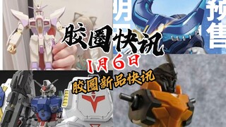 【1月6日胶圈快讯】
