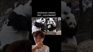 ENAK JADI ORANG KAYA.. TINGGAL MINTA ORANG TUA!!?