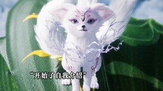 谁家的小狐狸这么可爱。