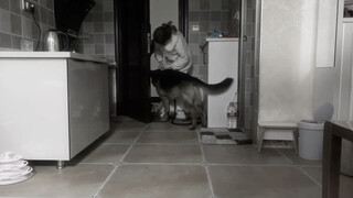 ขอความช่วยเหลือ! อดีตแฟนขโมยสุนัขของฉันไปทำไงดี!