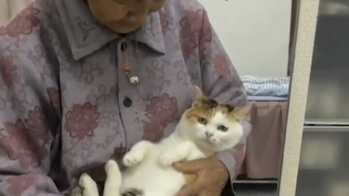 Hua Hua is gone; Grandma has left us today as well.