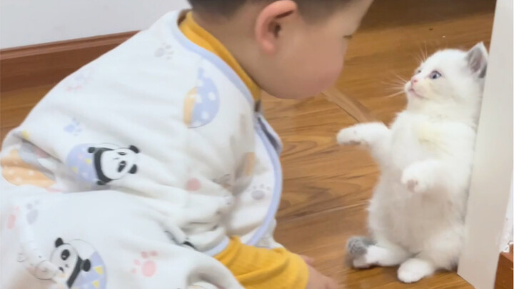 Last year I still had to cuddle a little kitten to fall asleep—this year I can actually use it as a 