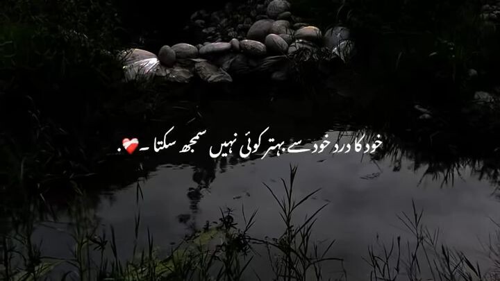 poetrys reel's