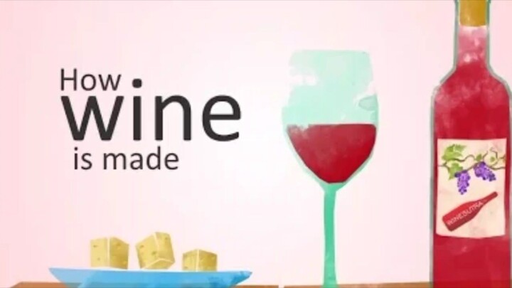 the making of wine