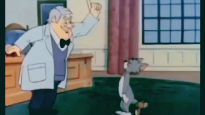 Tom and Jerry bring endless chaos, crazy chases, and hilarious moments! 😂🐱🐭