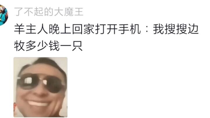 The sheep owner came home at night and opened their phone: “Let me search how much a Border Collie c