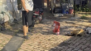 คนดีจะได้รับผลตอบแทนที่ดีหรือไม่