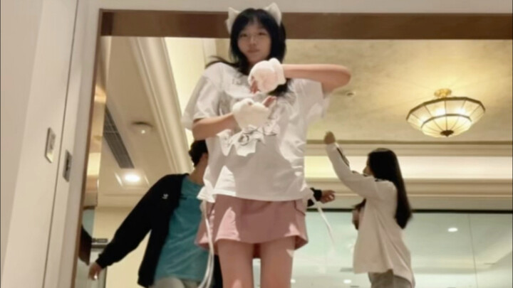 从俄罗斯借来的猫