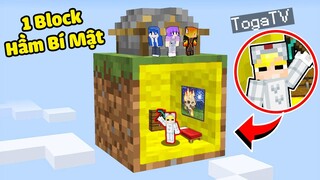 TÔ GÀ THỬ THÁCH 24H XÂY HẦM TRÚ ẨN BÊN TRONG 1 BLOCK MINECRAFT KHIẾN LÀNG SINH TỐ BẤT NGỜ