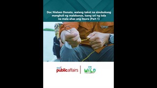 Doc Nielsen Donato, walang takot na sinubukang manghuli ng malabanos (Part 1) | Born to be Wild