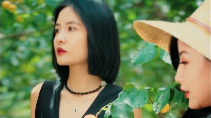 Chen Xiang 6:30: Fruit Orchard Blockbuster Shoot, Part 2!